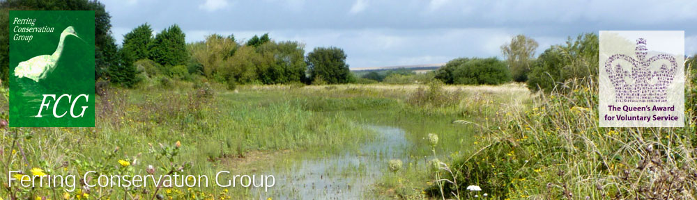 Ferring Conservation Group